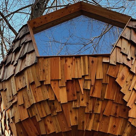 T'Glamp Bee House Ξενοδοχείο Rovte Εξωτερικό φωτογραφία
